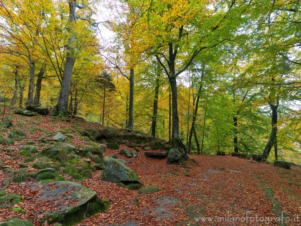 Biella (Italy) - Autumn colors in the "walk of the priests" behind the Sanctuary of Oropa